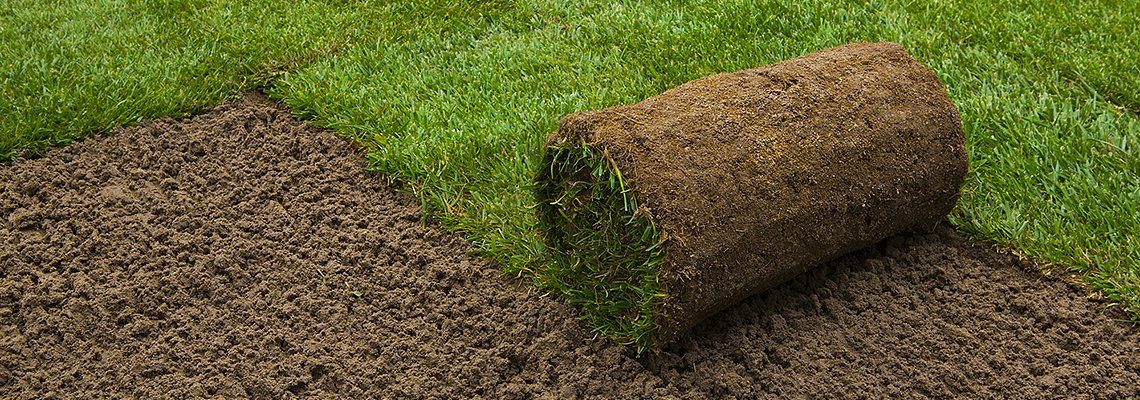 Natural Turf Laying