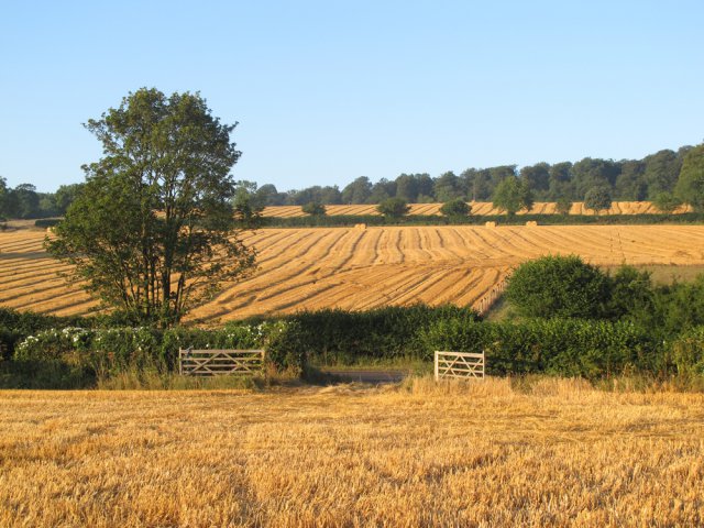 Fields Farmed