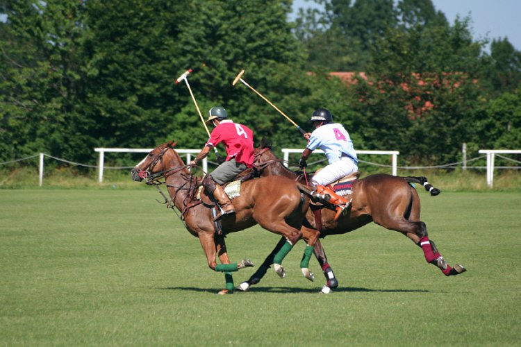 Polo/Equestrian Facilities